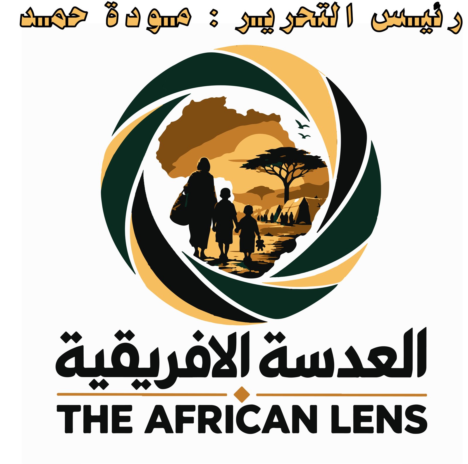 the-african-lens.com