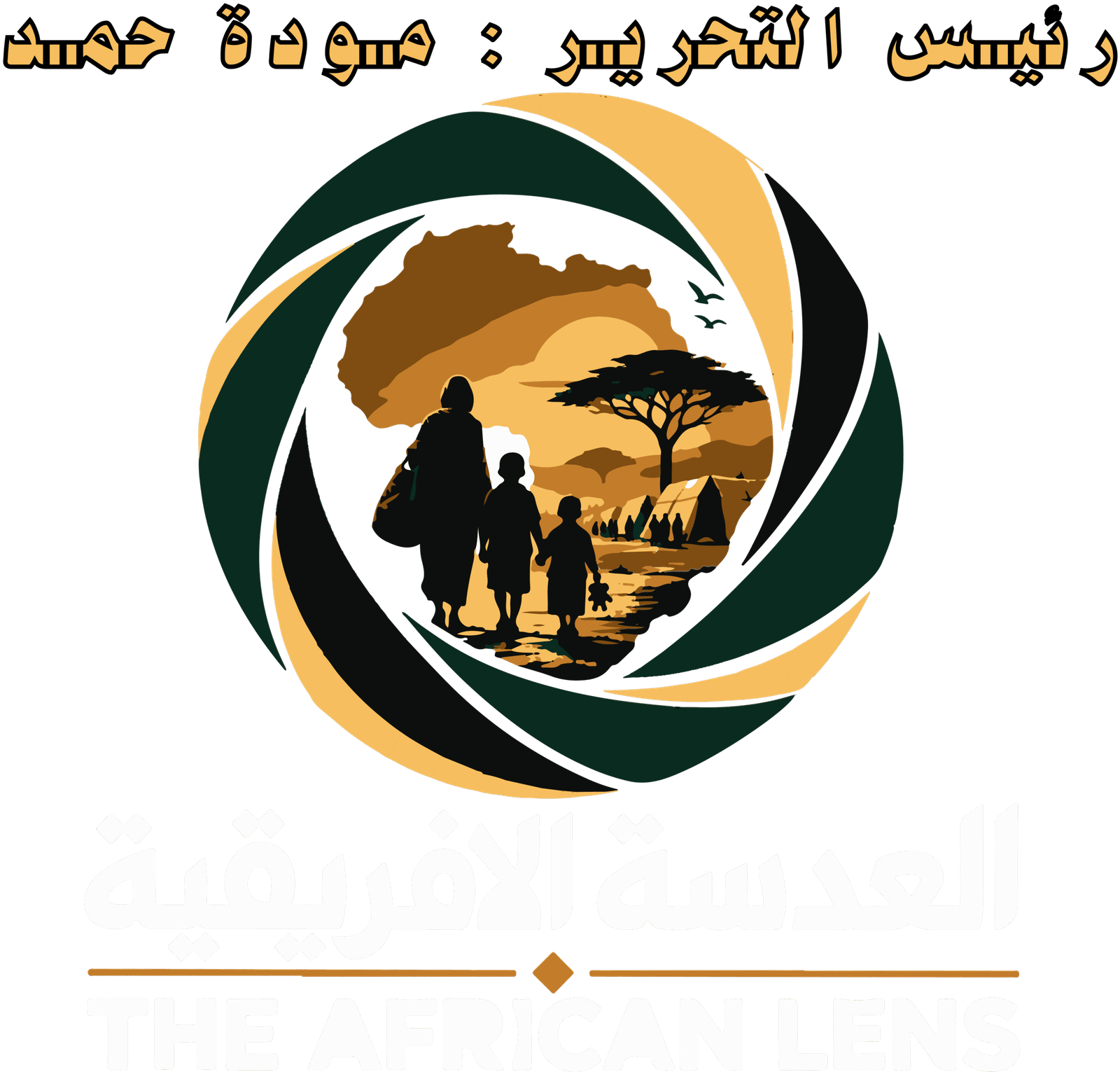 the-african-lens.com